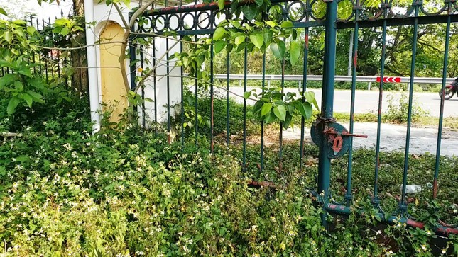 Vì sao cơ ngơi Trường CĐ Công nghiệp Huế ‘mắc cạn’ giữa rác? ảnh 15