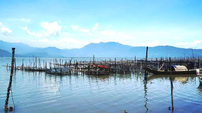 Bắt được ‘quái ngư’ khủng, nặng hơn nửa tạ ở đầm phá xứ Huế ảnh 2