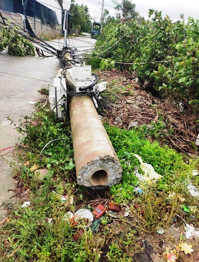 Sau sự cố hơn 400 cột điện gãy đổ do bão: Cấp điện trở lại cho 100% khách hàng ảnh 2