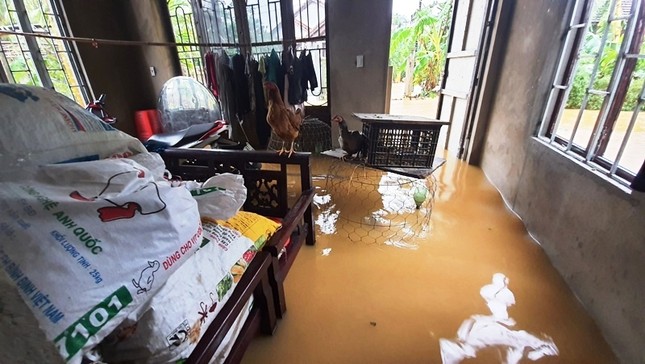 Huế mưa trắng trời, người dân ‘oằn mình’ chống lũ ảnh 5