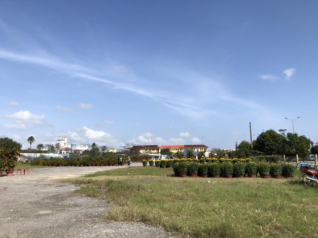 Chợ hoa Tết xứ Huế 'nóng lòng' chờ khách mua ảnh 2