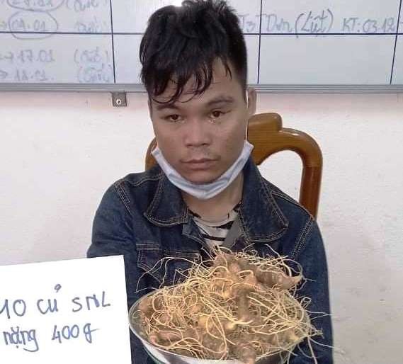 Xác định đối tượng trộm 10 củ sâm Ngọc Linh quý tại Quảng Nam ảnh 1