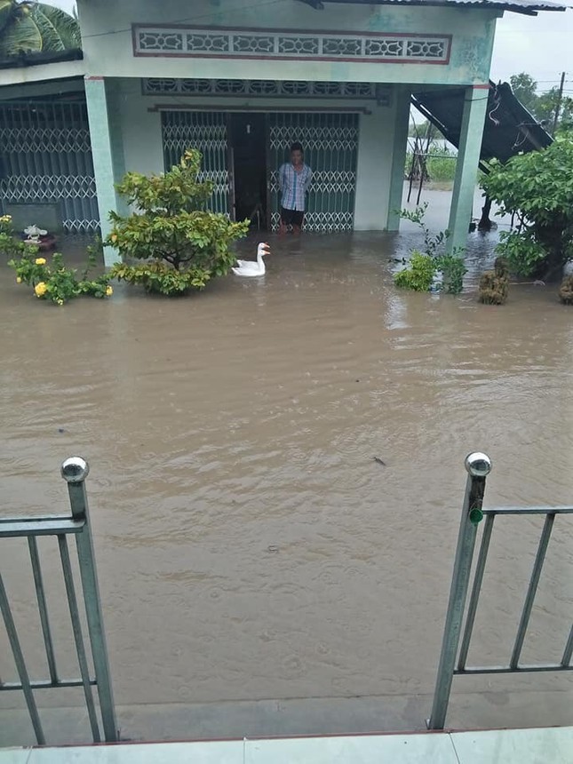 Mưa lớn kéo dài, nhiều khu vực ở Cà Mau ngập nặng ảnh 1