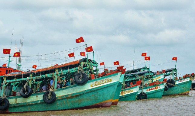 Đại tướng Tô Lâm chỉ đạo Đại hội Đảng bộ Cà Mau ảnh 7