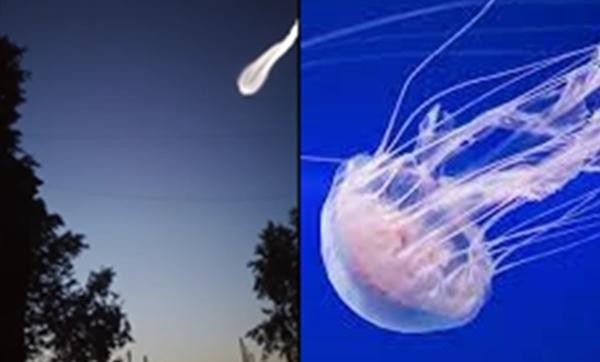 Vật thể bí ẩn hình con sứa bay vào bầu khí quyển của Trái Đất khiến nhiều người lo lắng ảnh 2