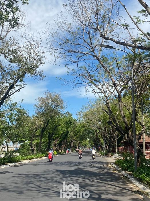 Cảnh tượng bất ngờ của thành phố Huế sau ảnh hưởng của cơn bão số 9 ảnh 5