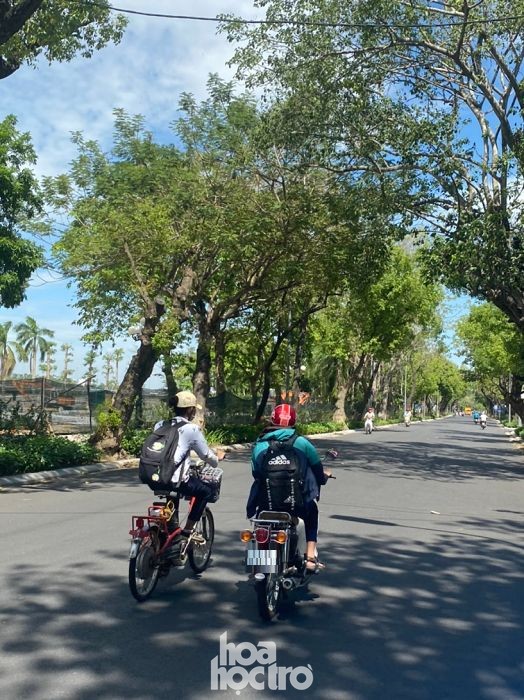 Cảnh tượng bất ngờ của thành phố Huế sau ảnh hưởng của cơn bão số 9 ảnh 8