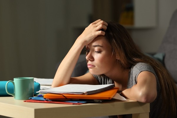 Sau hơn trăm ngày làm “con lười”, phải làm gì để lấy lại động lực học tập đây? ảnh 1