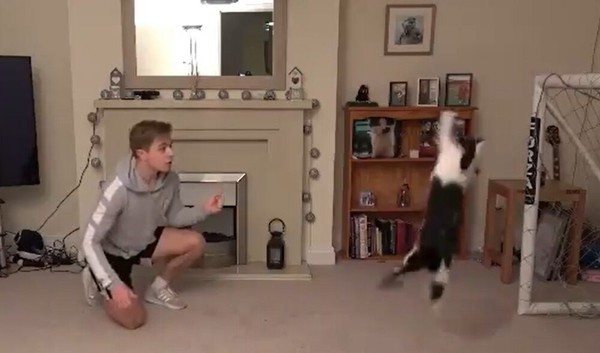 “Thủ môn mèo” khiến dân tình bái phục vì tài bắt gôn thần sầu ảnh 1