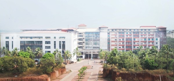 Bị ngã cây khi hái mít, vào viện điều trị thì lại dương tính với SARS-CoV-2 ảnh 1