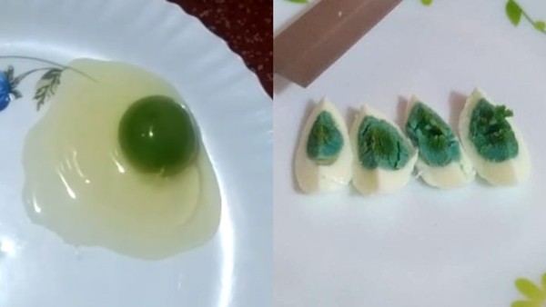 Đàn gà đẻ ra trứng có “lòng xanh” thay vì lòng đỏ, khiến giới khoa học cũng “gãi đầu” ảnh 2