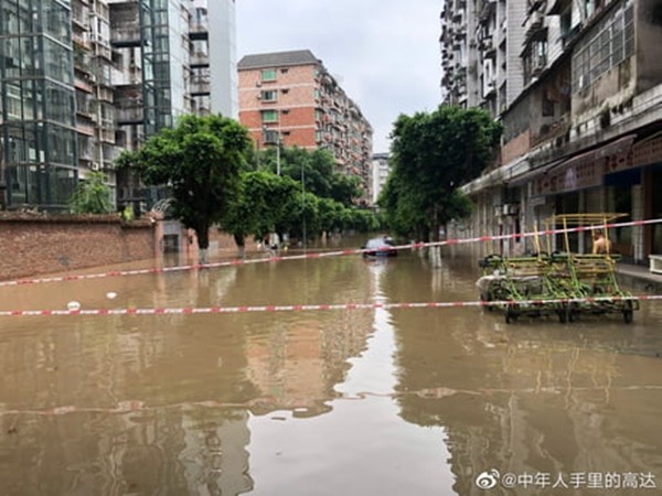 Nước lụt ngập nhà, vợ bơi về phá cửa sổ để cứu bộ sưu tập người máy Gundam cho chồng ảnh 1