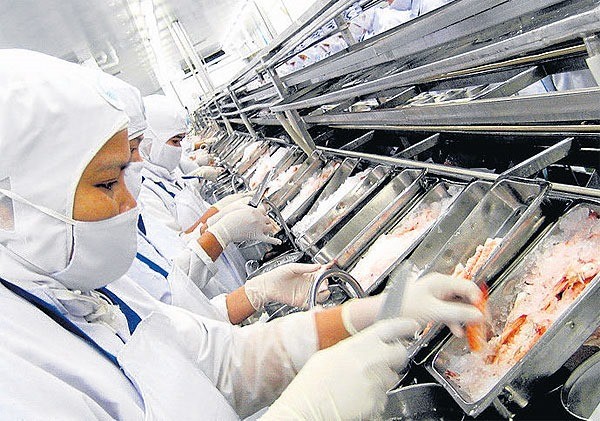 Ở nhiệt độ đông lạnh, SARS-CoV-2 có thể sống trên thịt, cá đến tận 21 ngày ảnh 3