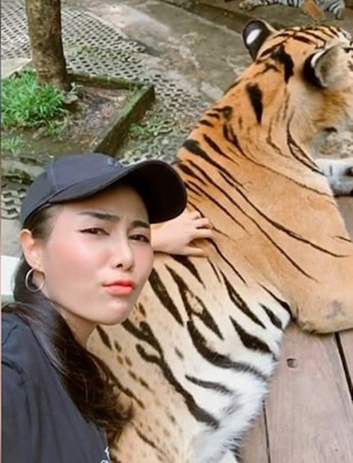 “Sàm sỡ” hổ đực để selfie, khi bị chỉ trích cô gái biện minh do “yêu động vật” ảnh 2