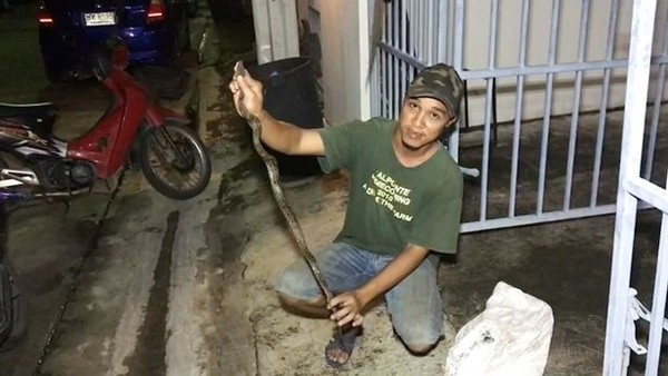 Chuyện như phim kinh dị: Thanh niên bị rắn cắn đúng chỗ hiểm khi đang đi vệ sinh ảnh 3