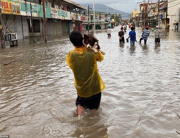 Xót xa trong siêu bão Goni: Em bé không đi sơ tán mà ở lại cùng bố, bị lũ cuốn đi tận 15km ảnh 5