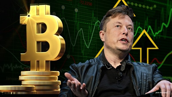 Tin vào tài khoản giả mạo tỷ phú Elon Musk, một người bị lừa mất trắng 13 tỷ đồng ảnh 1