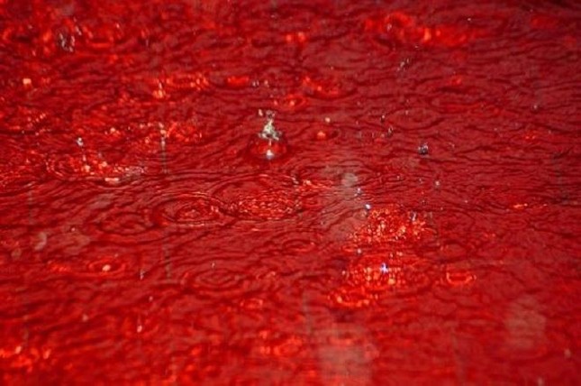 Bí ẩn những cơn ‘mưa máu’ nhuốm đỏ cả vùng rộng lớn, có phải điềm báo chết chóc? ảnh 1