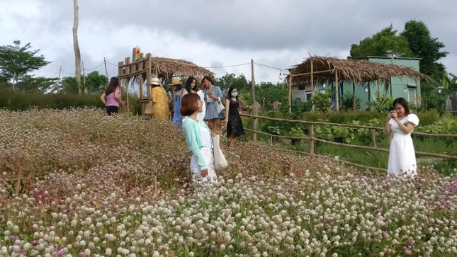Lạc bước giữa vườn hoa cực 'chill' ở Đà Nẵng hút hồn giới trẻ mê du lịch ảnh 13