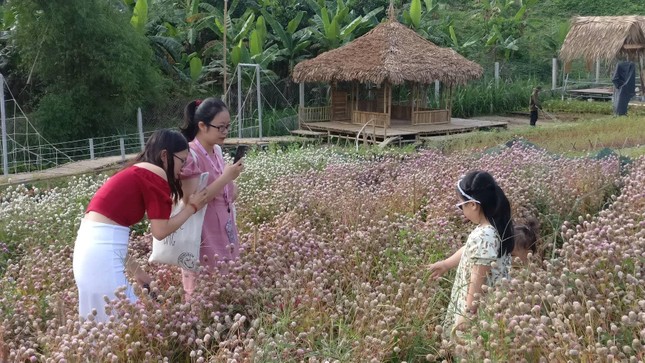 Lạc bước giữa vườn hoa cực 'chill' ở Đà Nẵng hút hồn giới trẻ mê du lịch ảnh 7