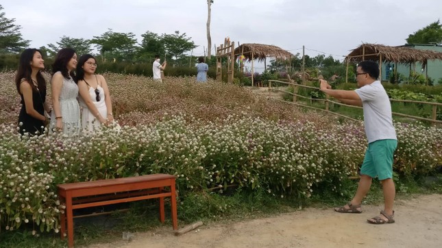 Lạc bước giữa vườn hoa cực 'chill' ở Đà Nẵng hút hồn giới trẻ mê du lịch ảnh 8