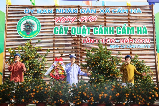 Độc đáo lễ hội quất cảnh ở Hội An ảnh 1