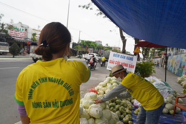 Tình nguyện viên Đà Nẵng giải cứu hàng trăm tấn nông sản Hải Dương ảnh 1