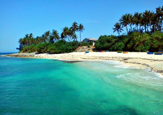Hè này, rủ ngay hội cạ cứng khám phá đảo Lý Sơn - “Thiên đường Maldives” của Việt Nam! ảnh 1