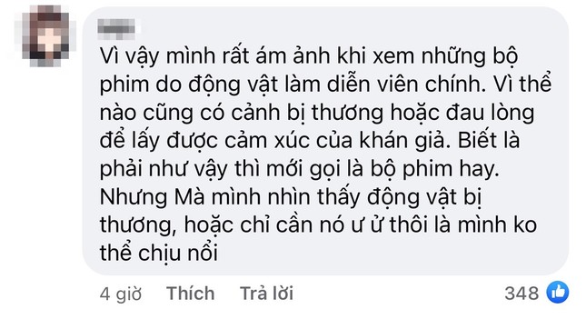 Tại sao YouTuber Giang Ơi lại bất ngờ lên tiếng chỉ trích gay gắt phim “Cậu Vàng“? ảnh 3