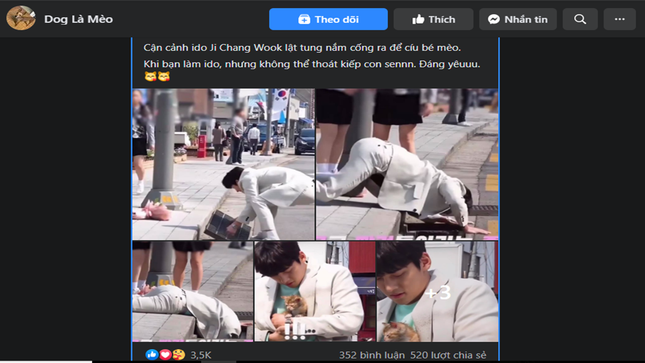 Dù mặc cả cây vest trắng, Ji Chang Wook không ngại lật tung nắp cống để cứu bé mèo ảnh 1