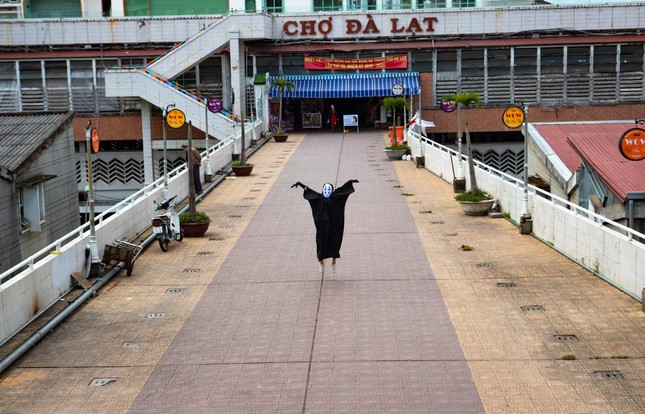 Bộ ảnh “Du lịch Đà Lạt mùa COVID” khiến cộng đồng mạng thả tim, chia sẻ rần rần ảnh 2