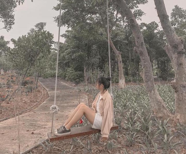 Học viện Nông nghiệp Việt Nam sở hữu không gian tràn ngập sắc hoa, tha hồ “sống ảo“ ảnh 8