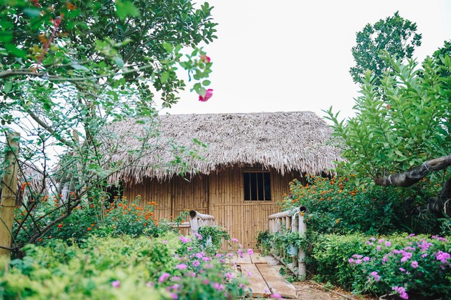 Ngẩn ngơ với khu du lịch tuyệt đẹp bên bờ sông Hồng nơi 'bán vé trở về tuổi thơ' ảnh 26