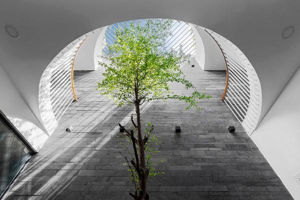 Những xu hướng thiết kế giếng trời năm 2022 để ngôi nhà sang, đẹp ảnh 1