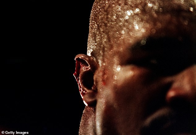 Tyson và Holyfield tái đấu sau ân oán cắn tai? ảnh 1