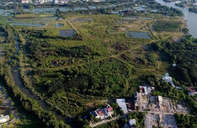 Tổng giám đốc công ty Tân Thuận bị cách hết chức vụ trong Đảng ảnh 1