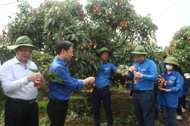 Bắc Giang tự hào là một trong những cái nôi của phong trào thanh niên tình nguyện ảnh 3