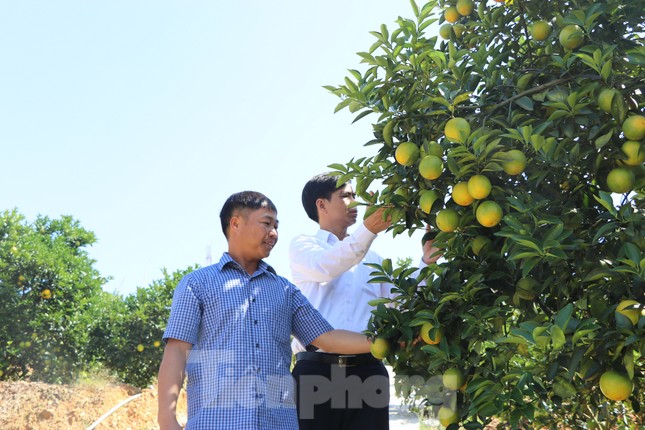 Đầu tư 3.000 tỷ đồng cho khoa học công nghệ ở nông thôn miền núi ảnh 1