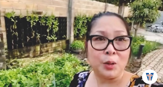 Sao Việt mùa cách ly: NSND Hồng Vân khoe vườn trái cây, Thúy Nga tự làm mặt nạ chống dịch ảnh 1