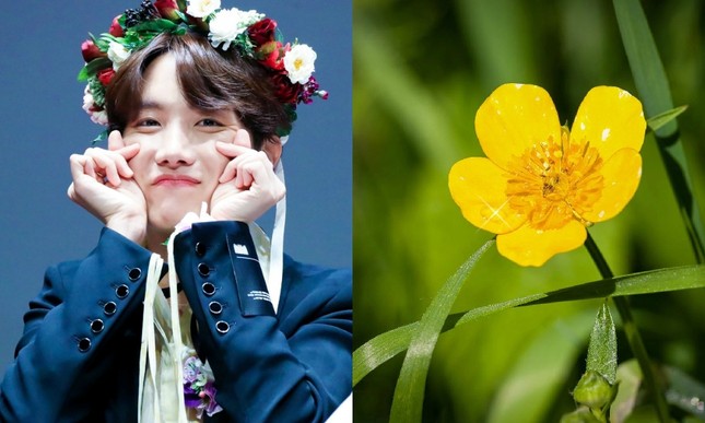 7 loài hoa tượng trưng cho các thành viên BTS, bạn đã biết hết chưa? ảnh 4