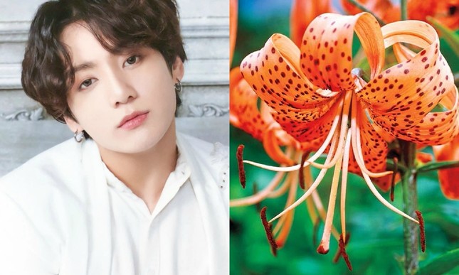 7 loài hoa tượng trưng cho các thành viên BTS, bạn đã biết hết chưa? ảnh 1