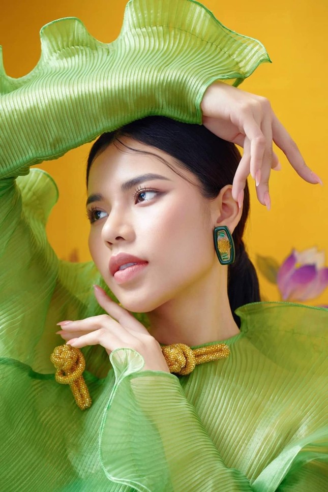 Minh Tâm - thí sinh Hoa Hậu Việt Nam có nét đẹp hiện đại gần giống Hoa hậu Phạm Hương ảnh 2
