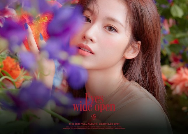 TWICE diện loạt váy đen đắt giá ở ảnh teaser album mới nhưng vẫn bị netizen Hàn chê bai ảnh 8