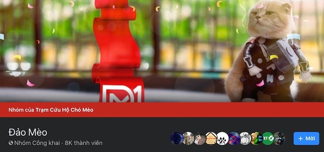 “Đảo Mèo”, hội nhóm dành cho người yêu mèo lớn nhất Việt Nam, đã bị Facebook cho "bay màu" ảnh 2