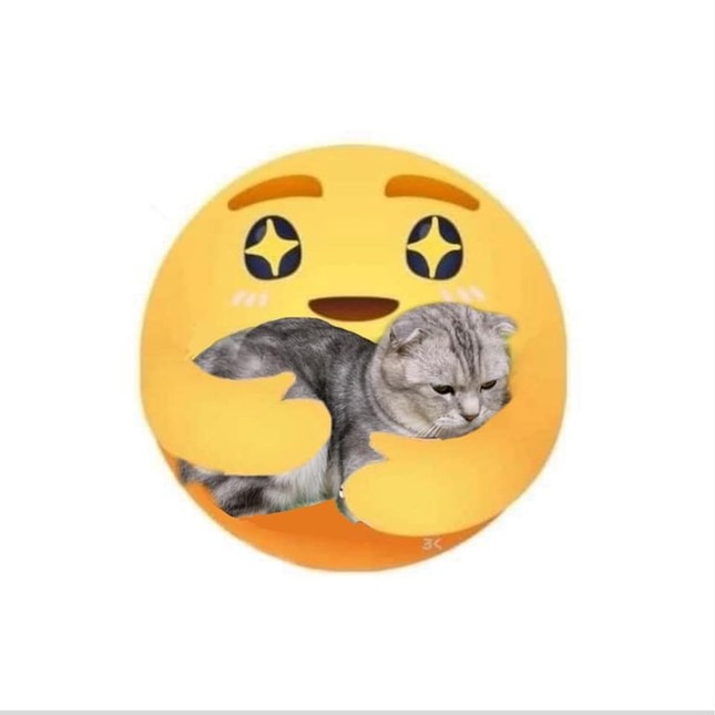 Netizen Việt sáng tạo icon Facebook “Thương Thương”, hài nhất là ảnh “đi đường quyền“ ảnh 5