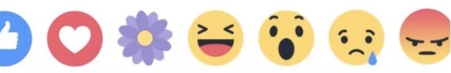 Biểu tượng cảm xúc “Thương Thương” gây sốt trên Facebook có thể sẽ biến mất? ảnh 1