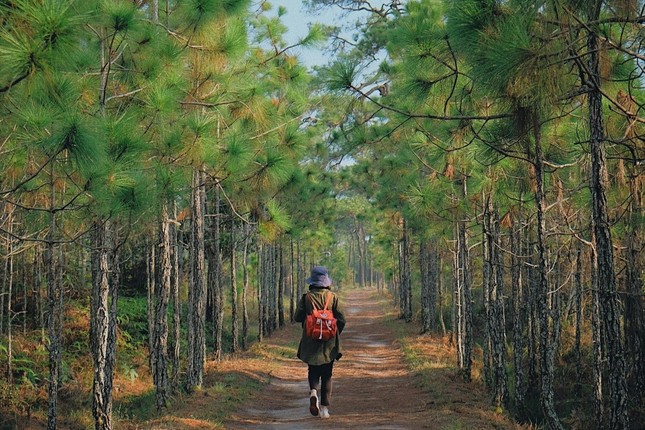 Du lịch Thái Lan “xịn” như travel blogger bản địa: Những điểm đến không phải ai cũng biết! ảnh 4