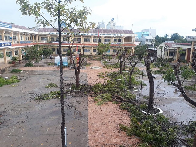 Hàng loạt cây phượng bị chặt hạ đề phòng đổ gãy, teen ngậm ngùi tiếc nuối ảnh 1