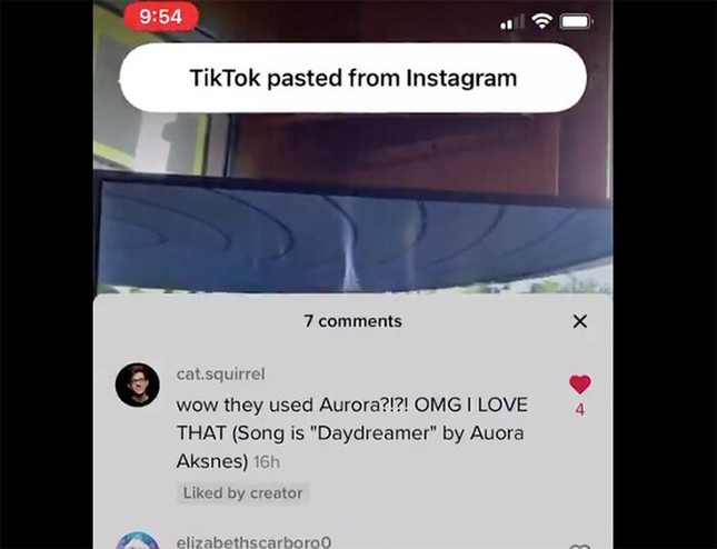 iOS 14 “bóc mẽ” một hành vi “xấu xí” của TikTok đối với người dùng iPhone ảnh 1