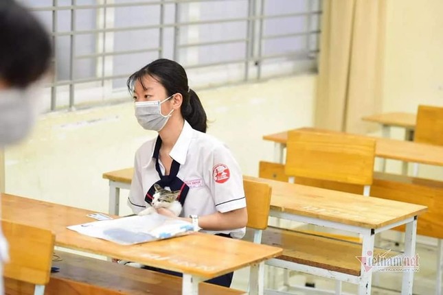 Loạt đồ vật “bá đạo” teen mang vào phòng thi năm nay: Xoài, muỗng, thậm chí cả... mèo! ảnh 8